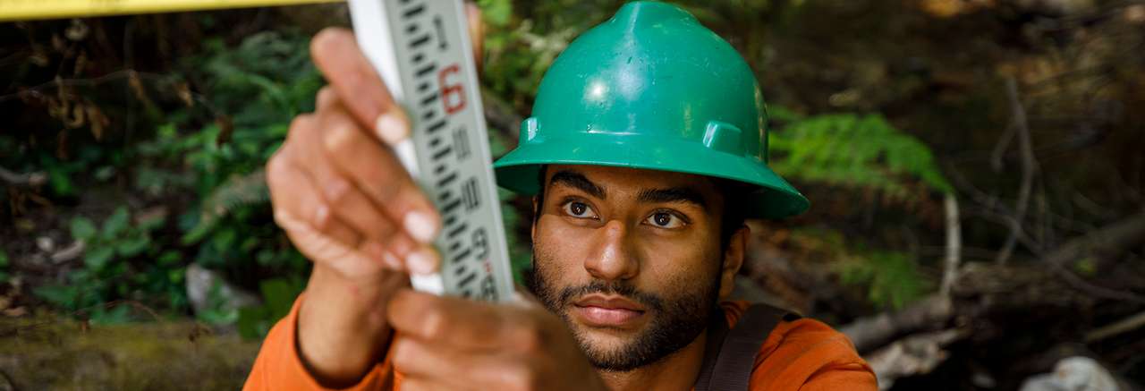 A focused worker wearing an orange shirt and green hard hat takes precise field measurements in a forested area using a survey rod.